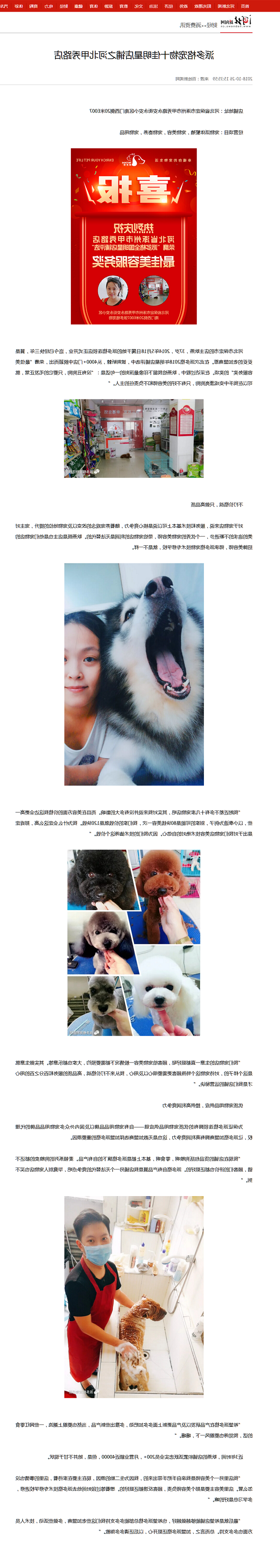 1541056393583088.png 派多格宠物十佳明星店铺之河北甲秀路店_河北新闻网.png